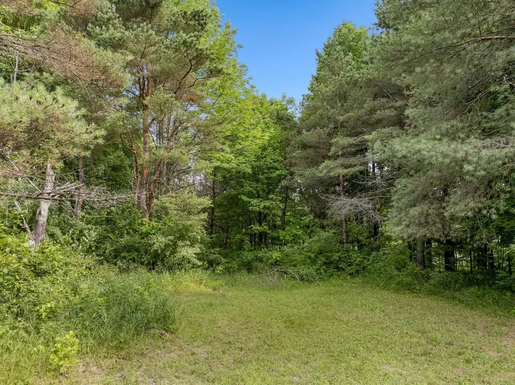7788 Love Road Benzonia Township MI 49616