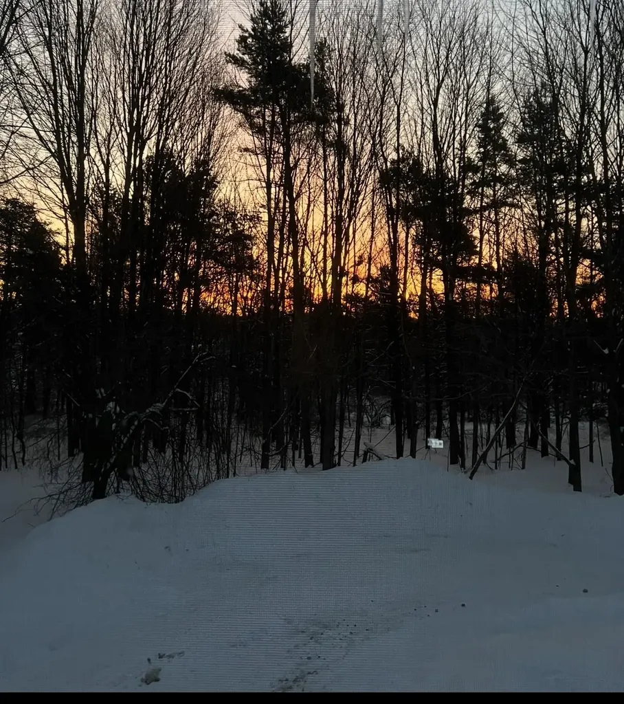 7788 Love Road Benzonia Township MI 49616