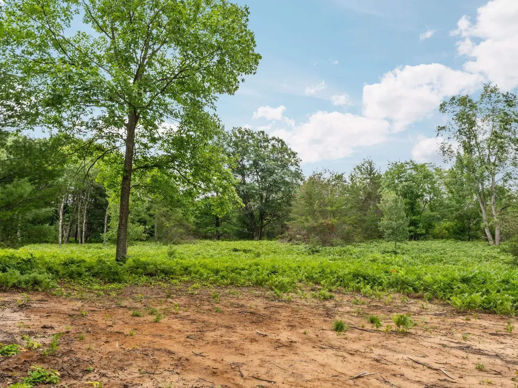 00 S 37 3/4 Road Haring Charter Township MI 49601
