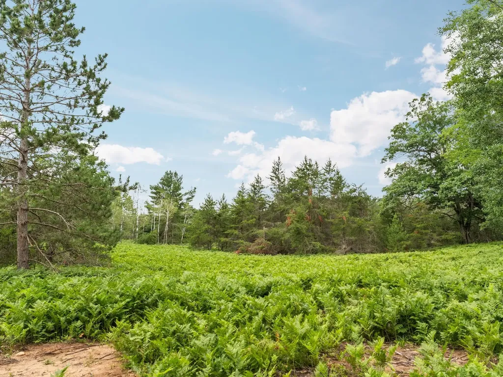 00 S 37 3/4 Road Haring Charter Township MI 49601