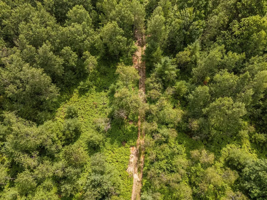 00 S 37 3/4 Road Haring Charter Township MI 49601
