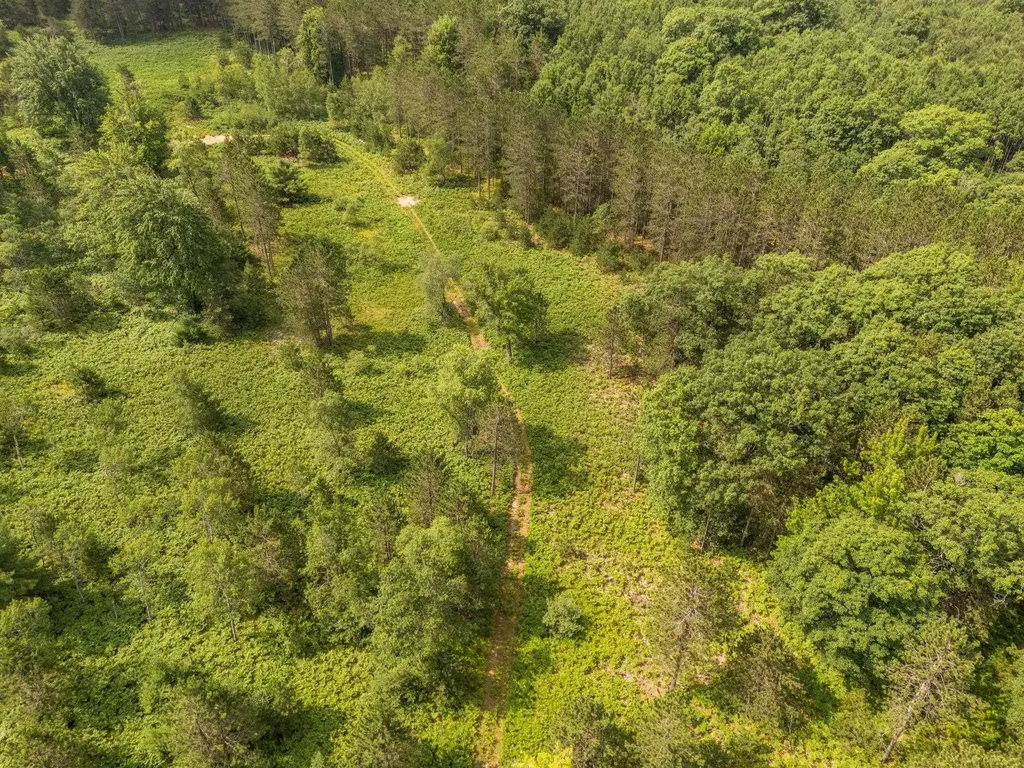 00 S 37 3/4 Road Haring Charter Township MI 49601
