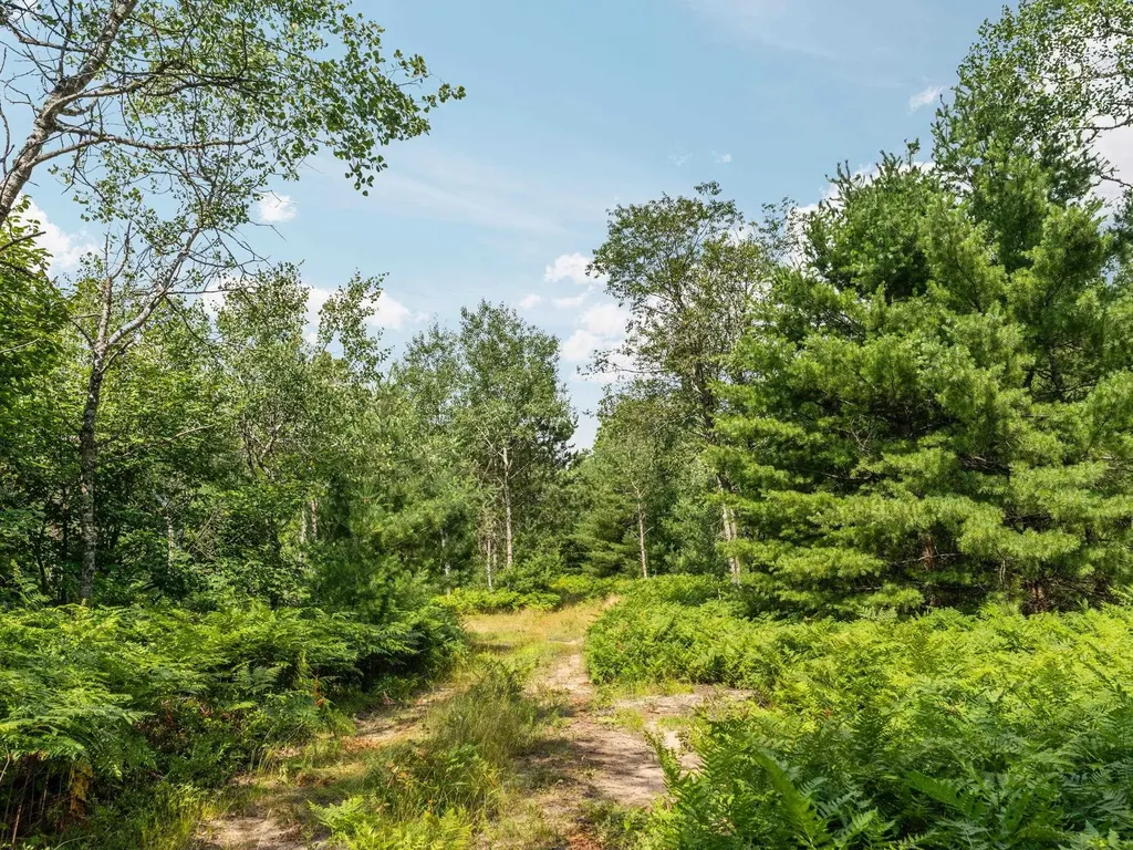 00 S 37 3/4 Road Haring Charter Township MI 49601