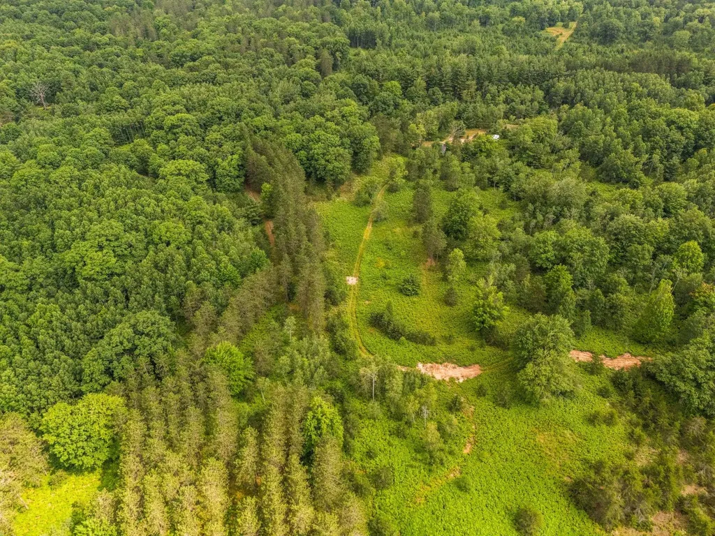 00 S 37 3/4 Road Haring Charter Township MI 49601