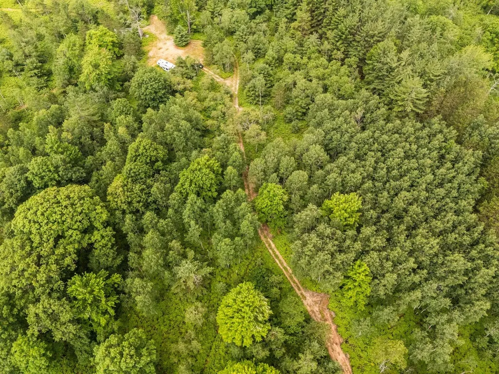 00 S 37 3/4 Road Haring Charter Township MI 49601