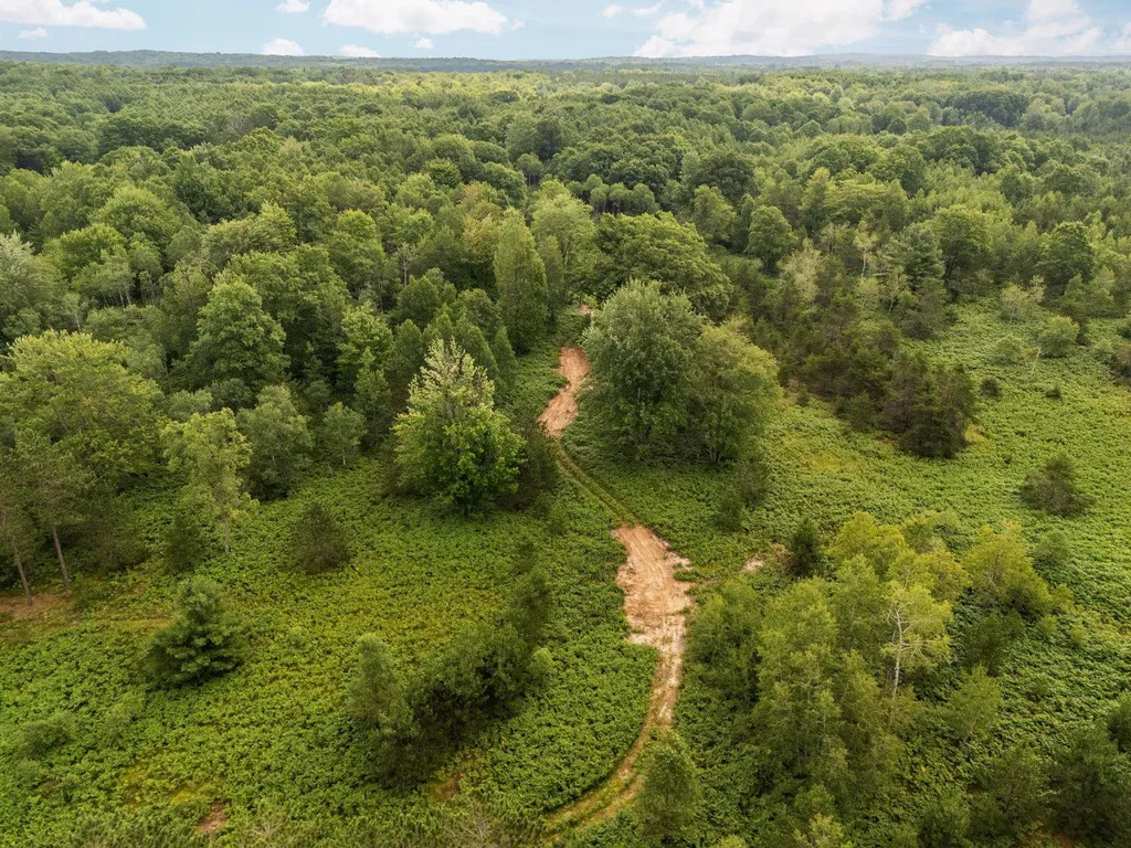 00 S 37 3/4 Road Haring Charter Township MI 49601