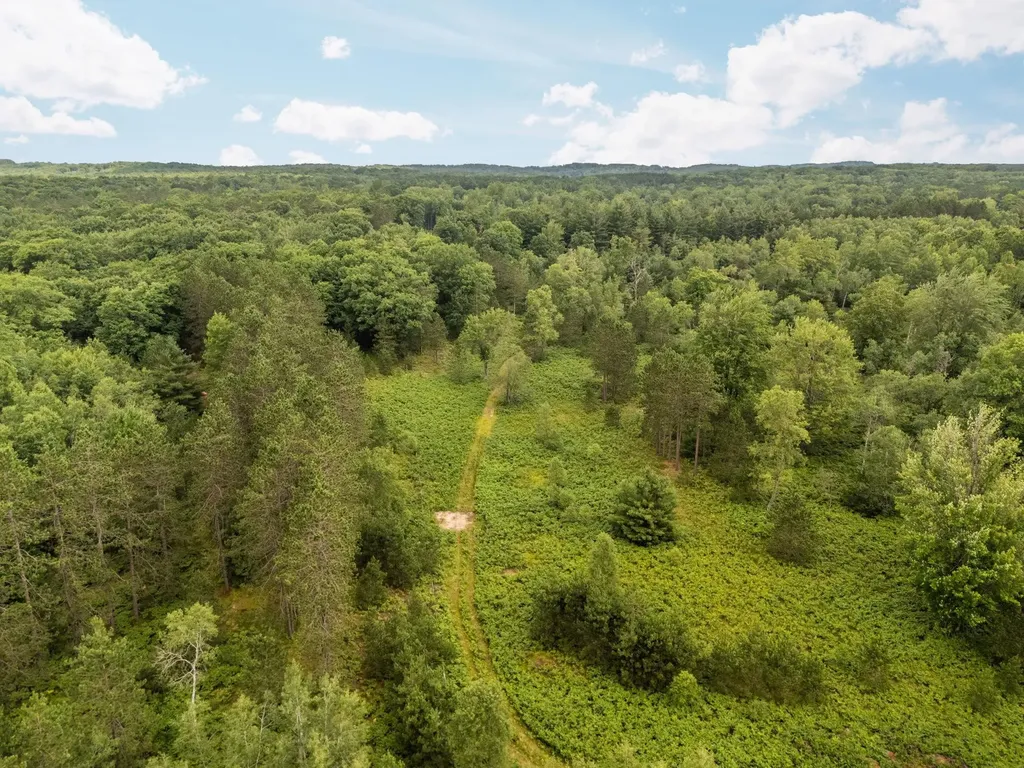 00 S 37 3/4 Road Haring Charter Township MI 49601
