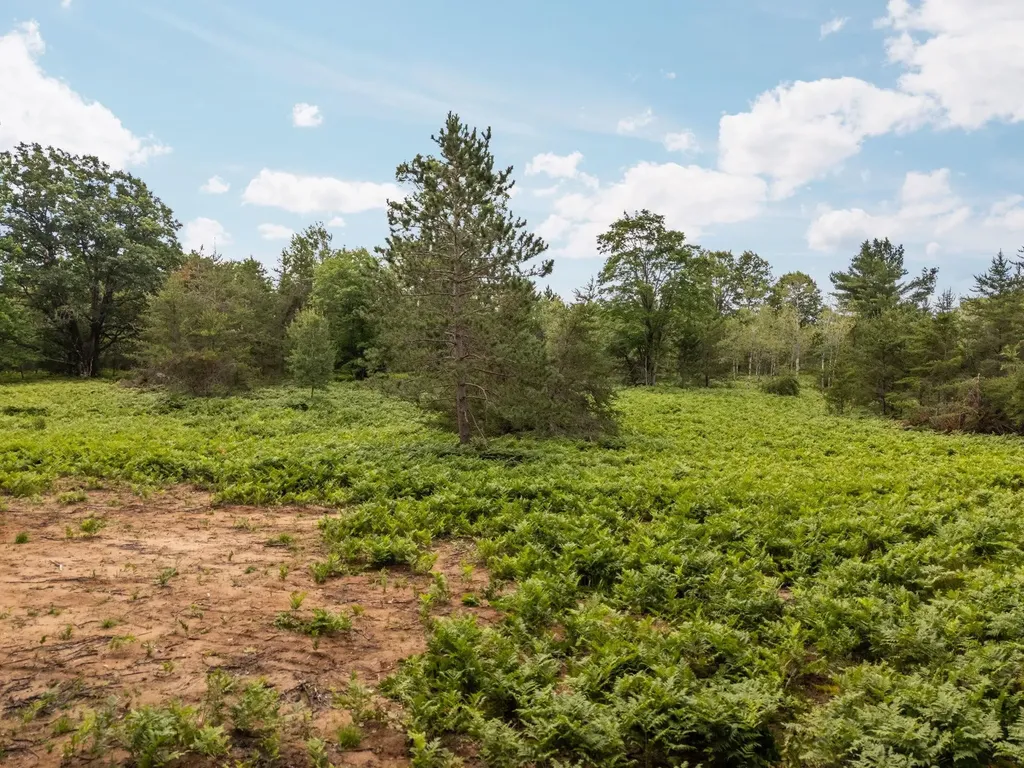 00 S 37 3/4 Road Haring Charter Township MI 49601