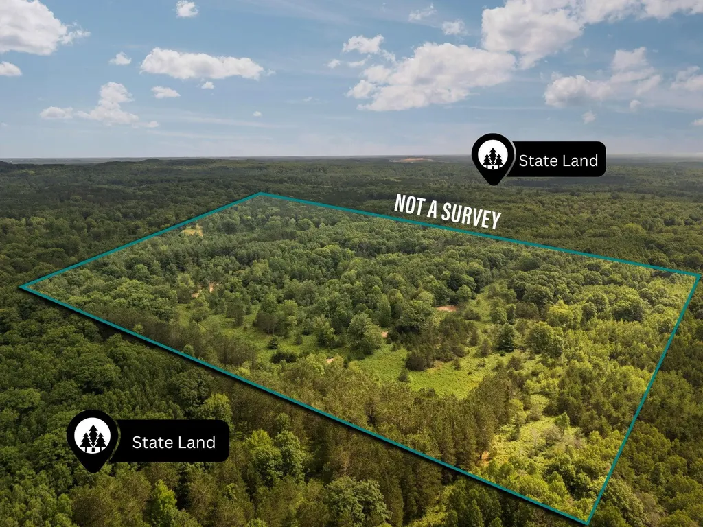 00 S 37 3/4 Road Haring Charter Township MI 49601