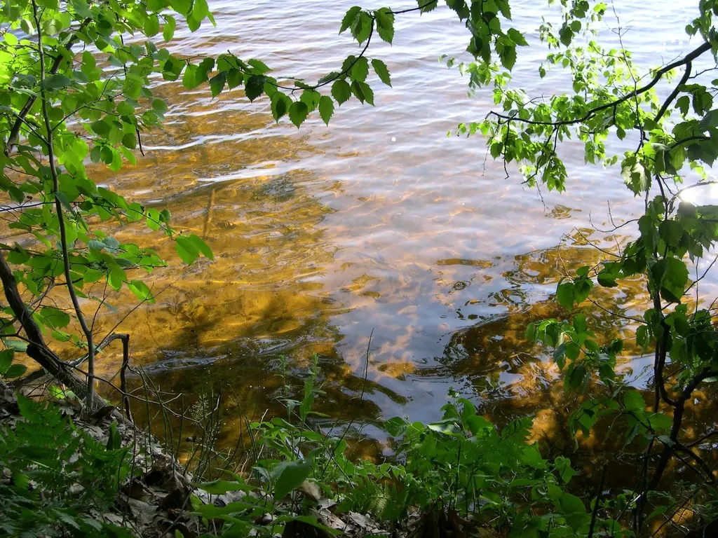 1589 Edgewater Ridge Traverse City City MI 49684