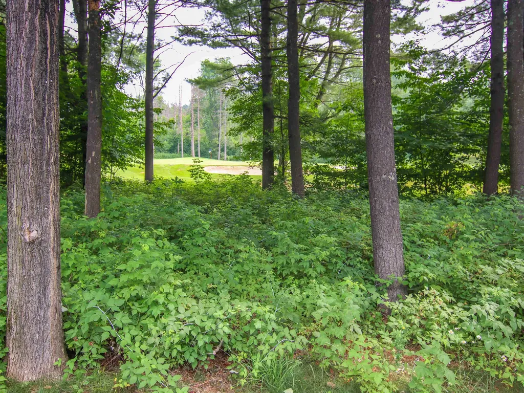7705 Platte Plains Trail Weldon Township MI 49683