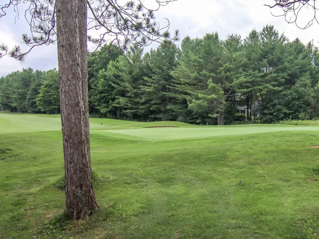 7705 Platte Plains Trail Weldon Township MI 49683