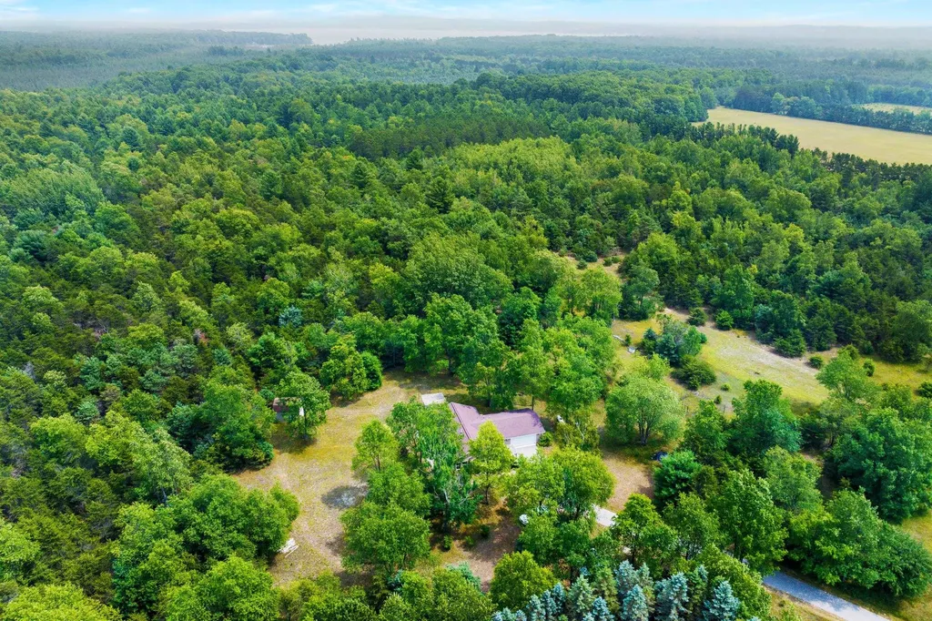14143 Erdman Road Arcadia Township MI 49613