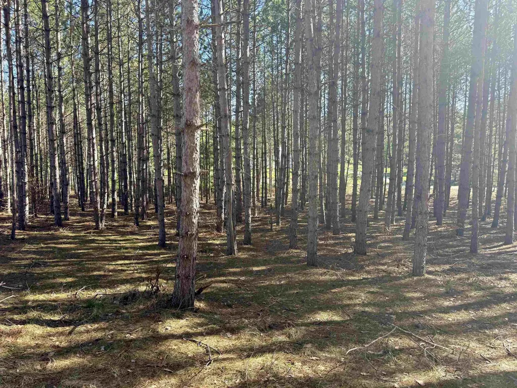 3041 Dockery Road, NW Kalkaska Township MI 49690