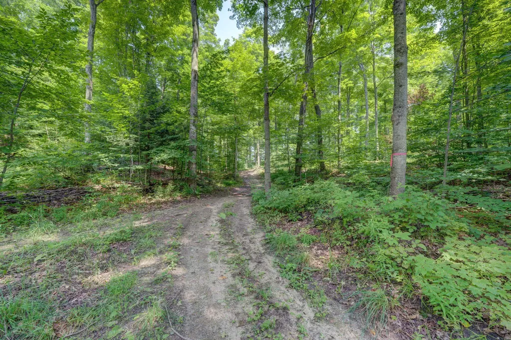 244 W Kasson Center Road Kasson Township MI 49664