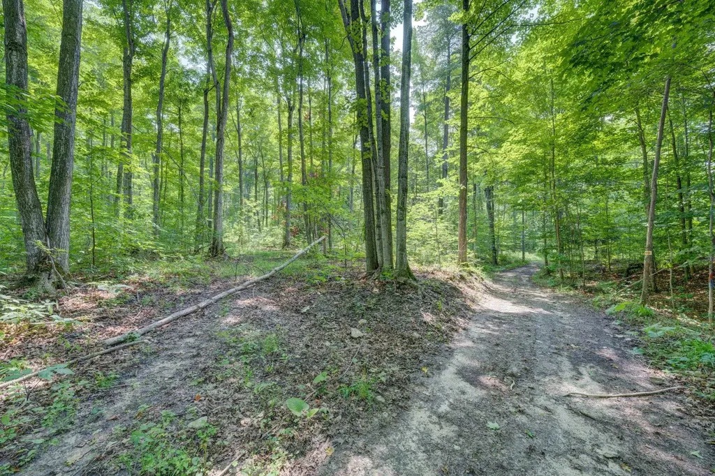 244 W Kasson Center Road Kasson Township MI 49664