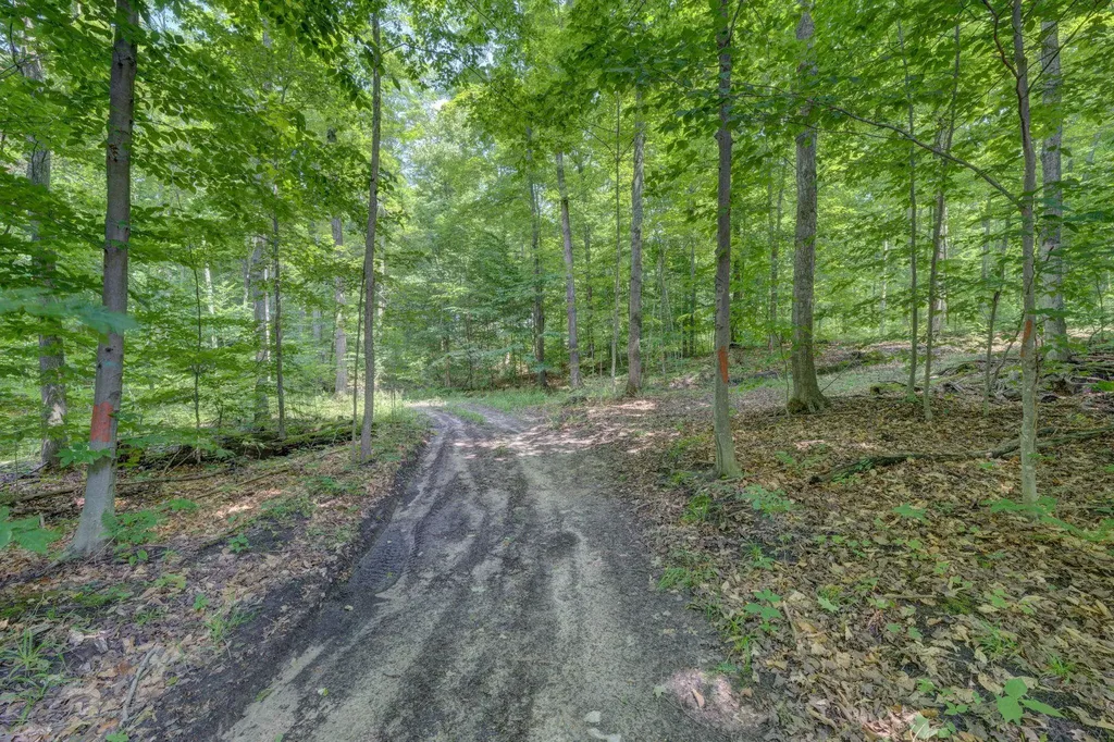244 W Kasson Center Road Kasson Township MI 49664