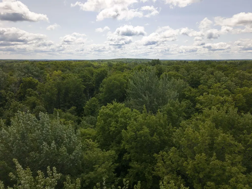 5333 SE Wintergreen Trail Excelsior Township MI 49646