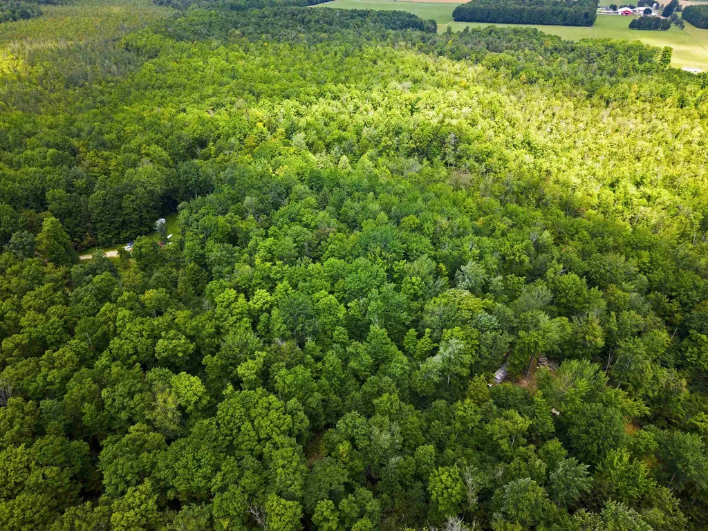 5333 SE Wintergreen Trail Excelsior Township MI 49646