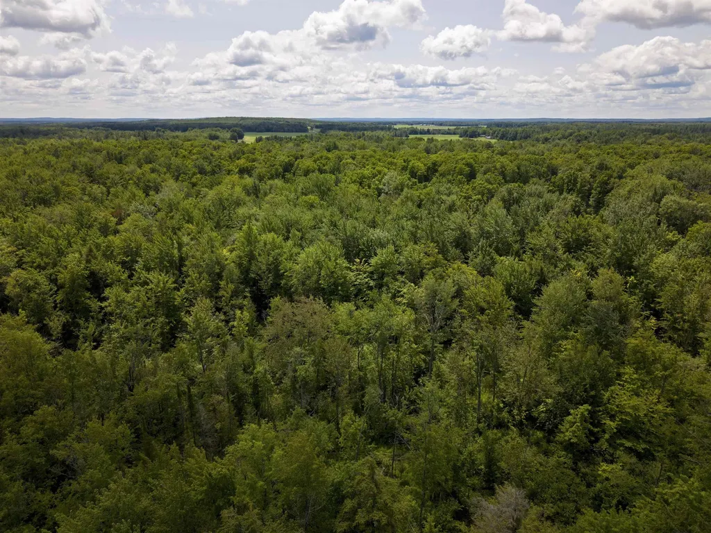 5333 SE Wintergreen Trail Excelsior Township MI 49646