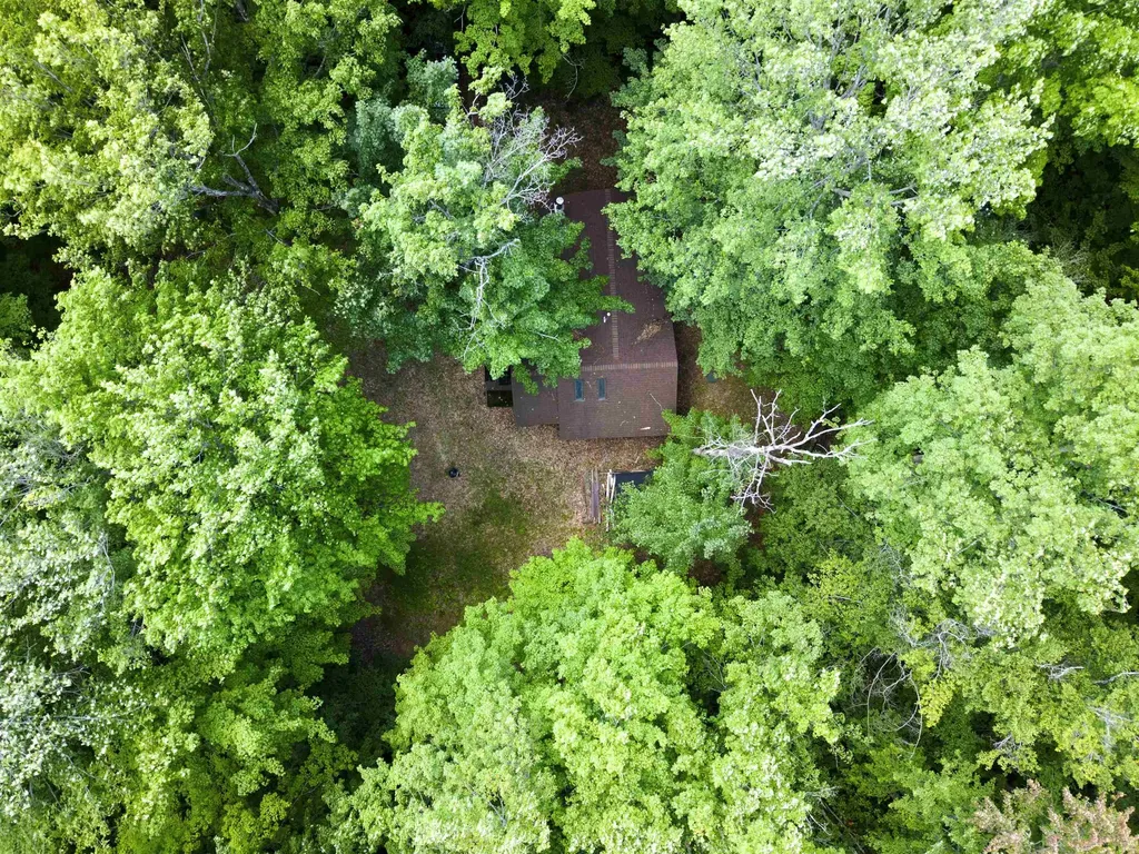 5333 SE Wintergreen Trail Excelsior Township MI 49646