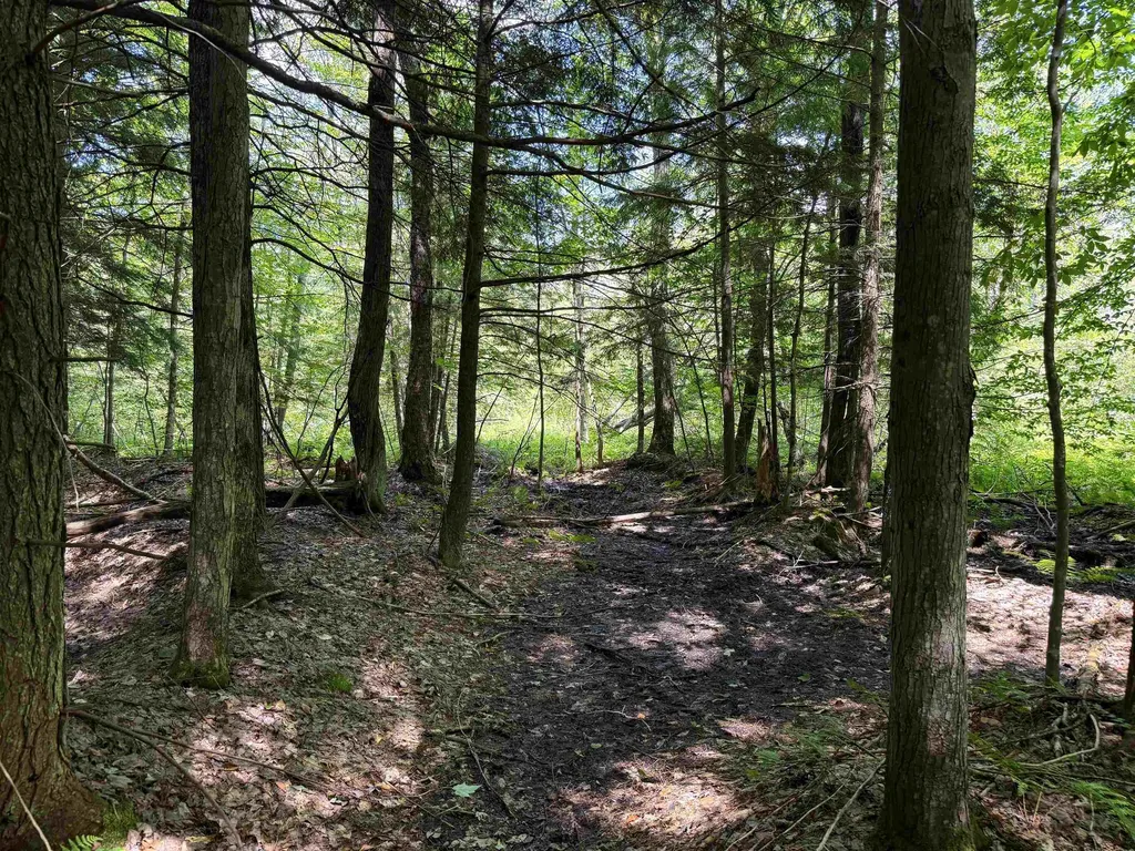 5333 SE Wintergreen Trail Excelsior Township MI 49646