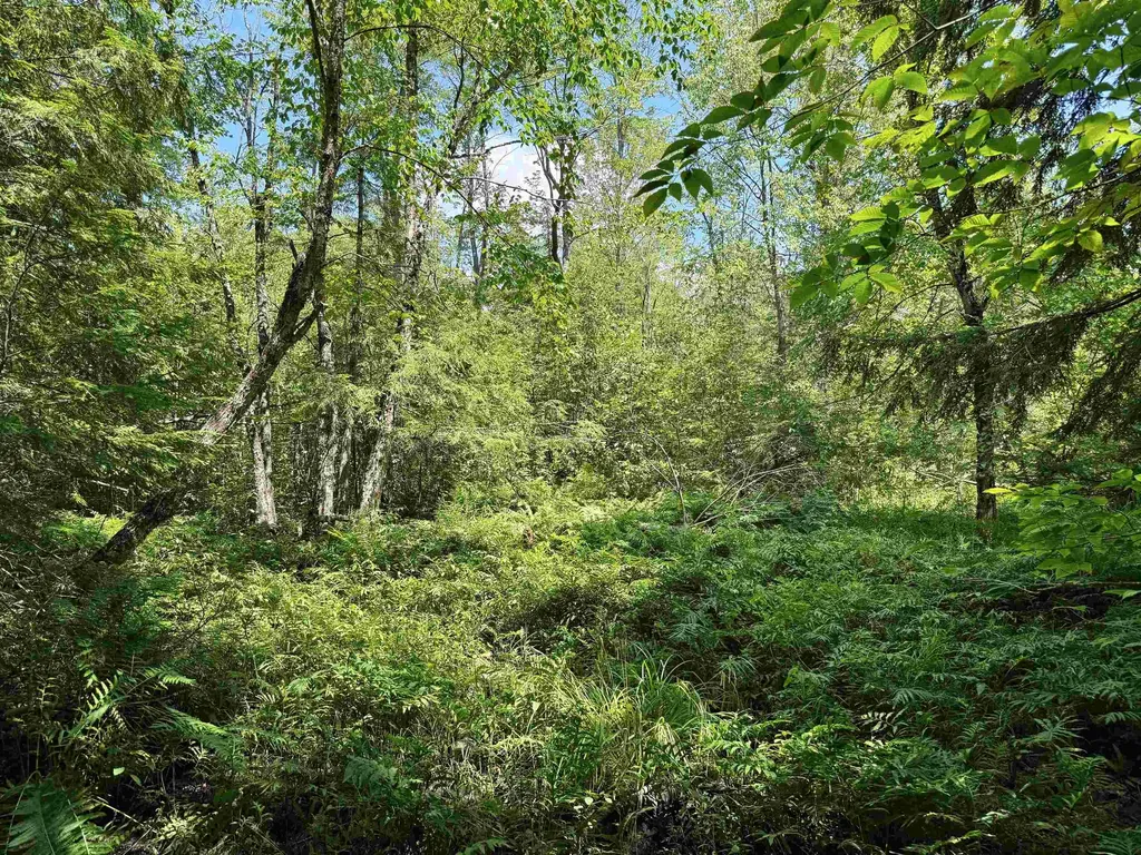 5333 SE Wintergreen Trail Excelsior Township MI 49646