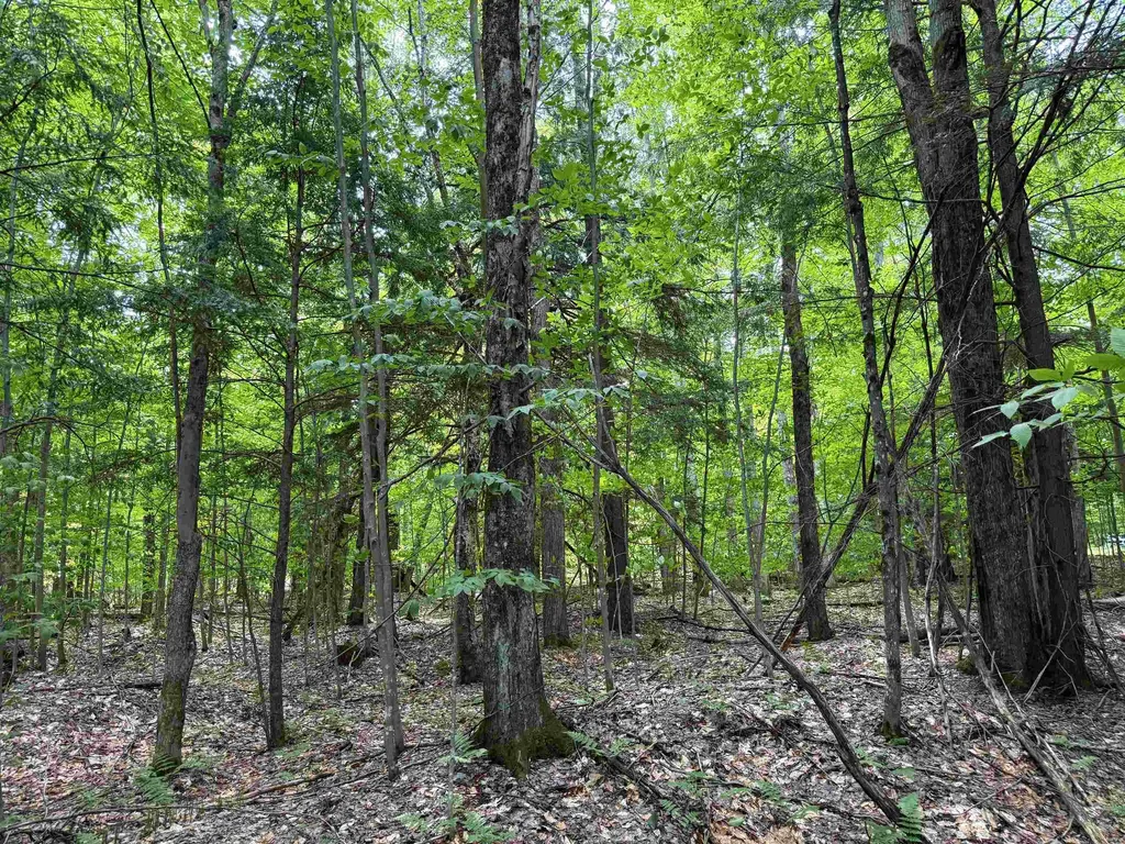 5333 SE Wintergreen Trail Excelsior Township MI 49646