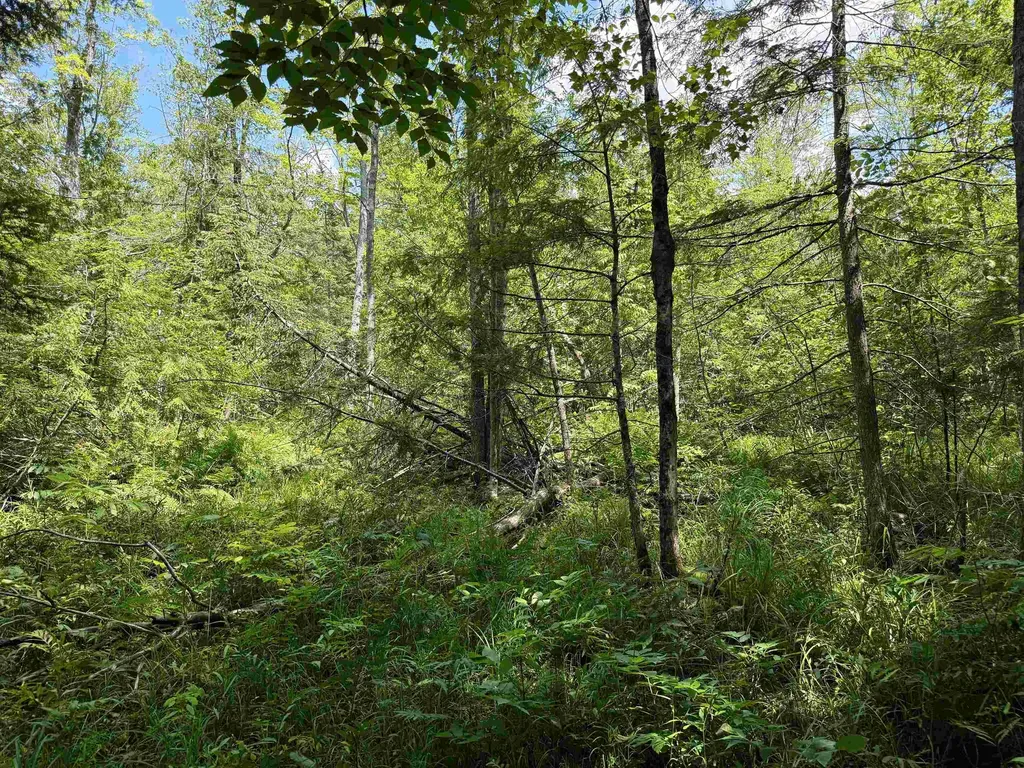 5333 SE Wintergreen Trail Excelsior Township MI 49646