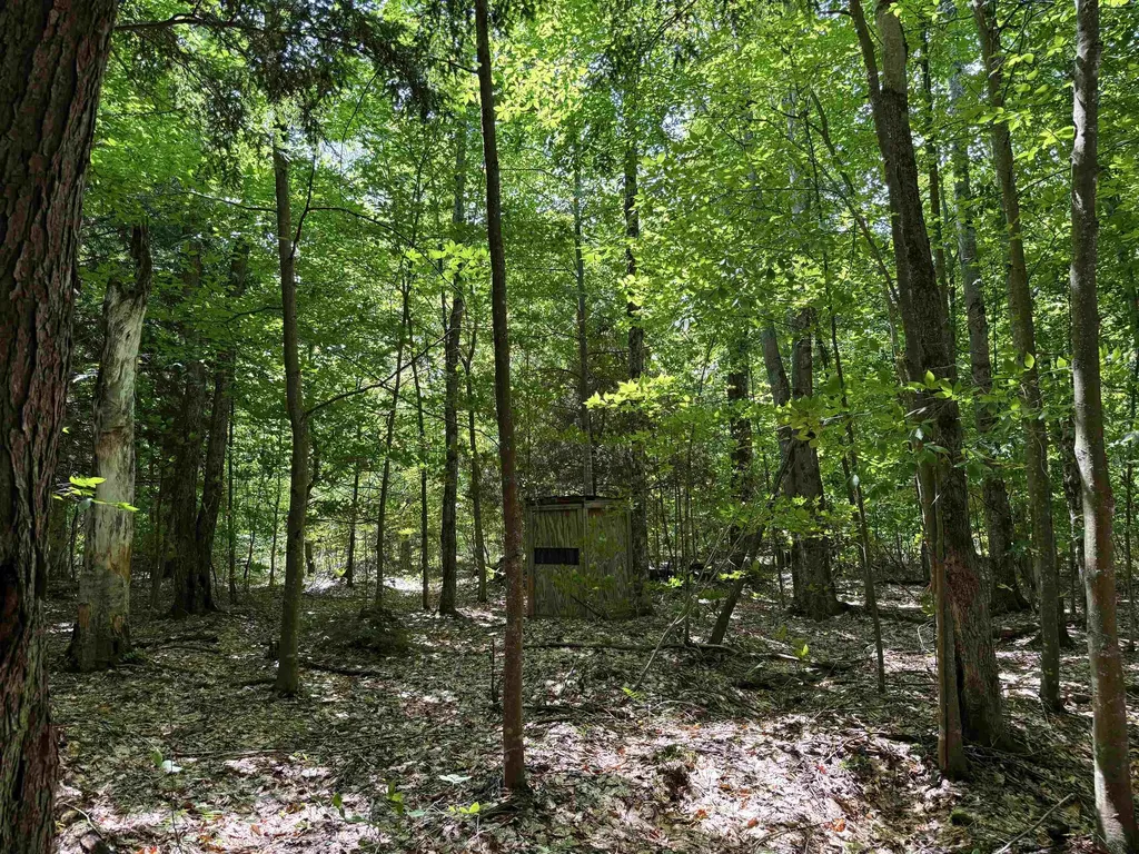 5333 SE Wintergreen Trail Excelsior Township MI 49646