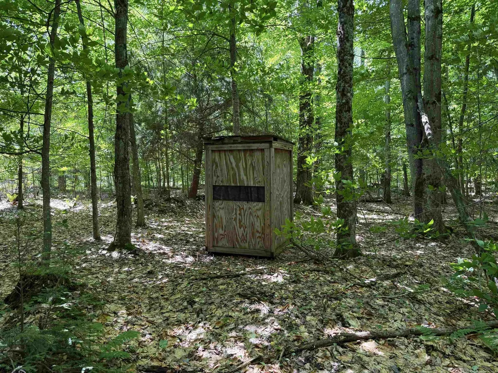 5333 SE Wintergreen Trail Excelsior Township MI 49646