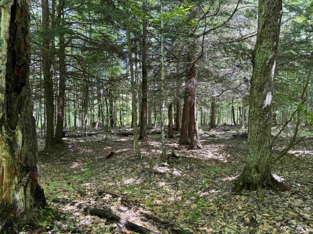 5333 SE Wintergreen Trail Excelsior Township MI 49646
