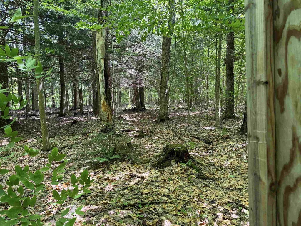 5333 SE Wintergreen Trail Excelsior Township MI 49646