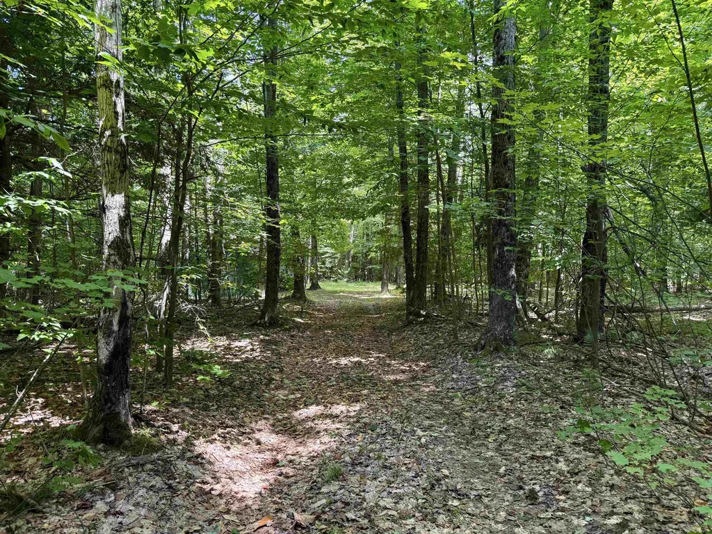 5333 SE Wintergreen Trail Excelsior Township MI 49646