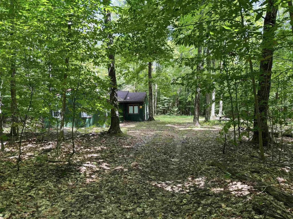 5333 SE Wintergreen Trail Excelsior Township MI 49646