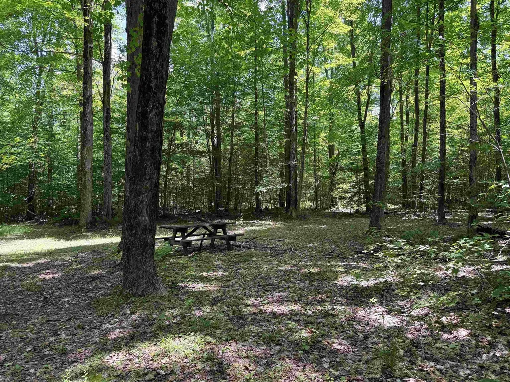 5333 SE Wintergreen Trail Excelsior Township MI 49646