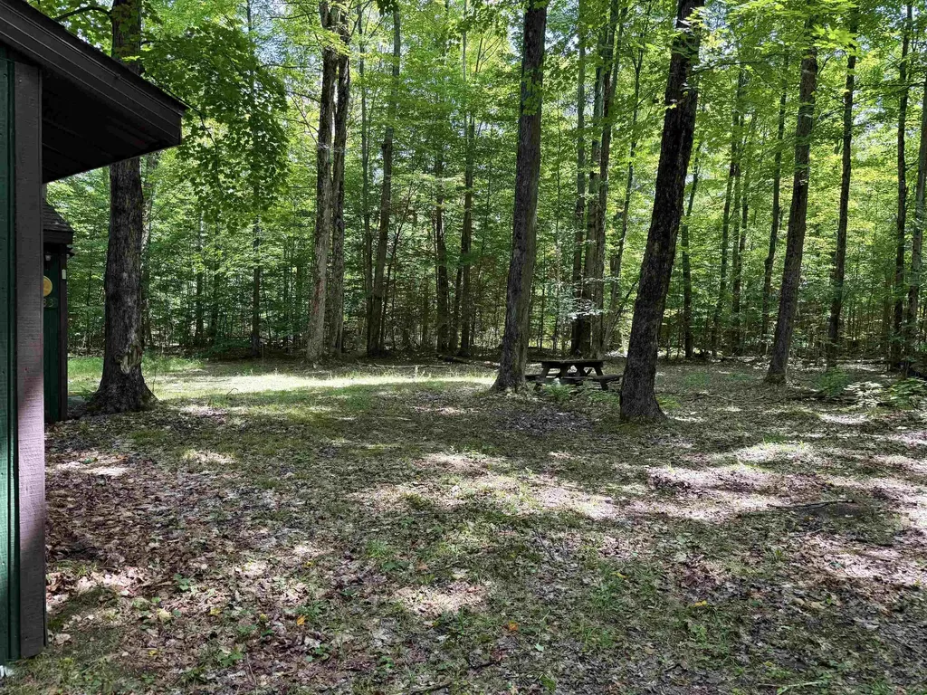5333 SE Wintergreen Trail Excelsior Township MI 49646