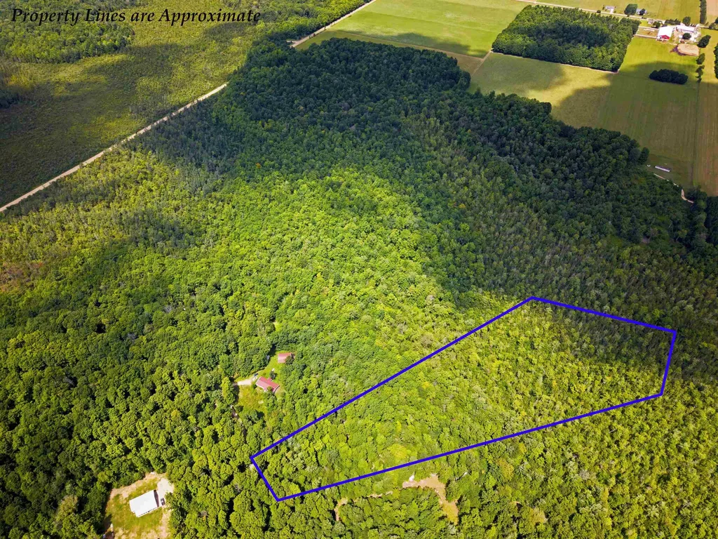 5333 SE Wintergreen Trail Excelsior Township MI 49646