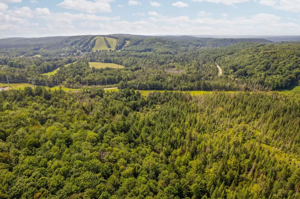 Parcels A & B Schuss Mountain Road Custer Township MI 49659