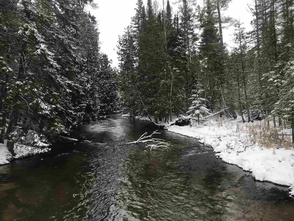 Parcels A & B Schuss Mountain Road Custer Township MI 49659