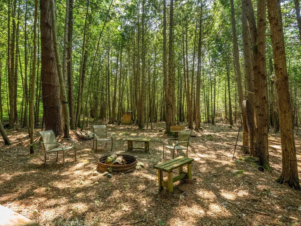 Parcels A & B Schuss Mountain Road Custer Township MI 49659