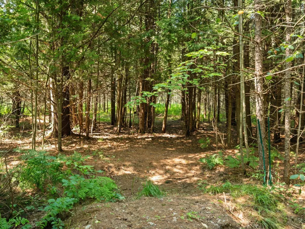 Parcels A & B Schuss Mountain Road Custer Township MI 49659