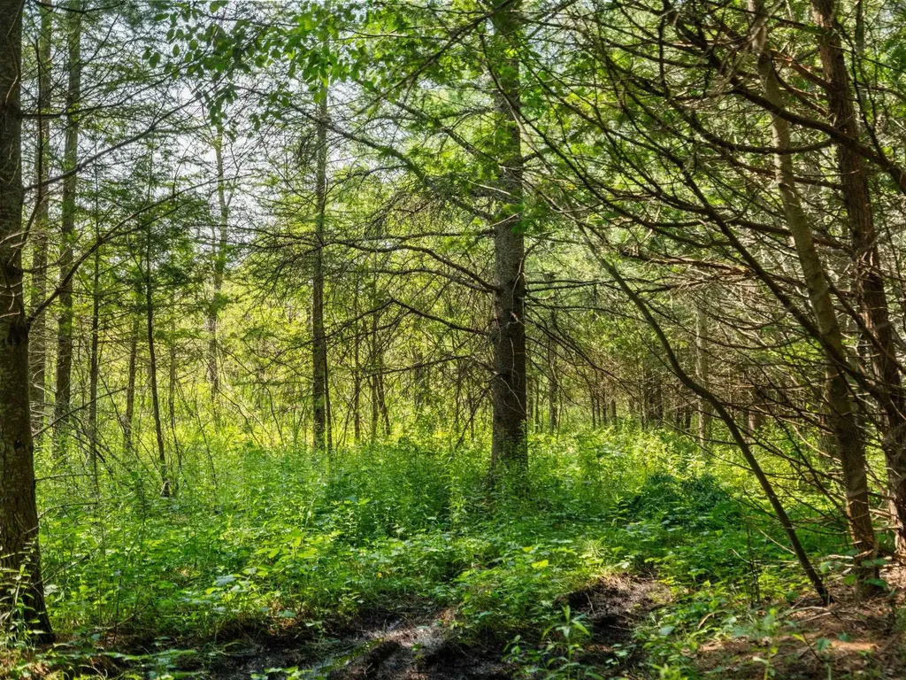 Parcels A & B Schuss Mountain Road Custer Township MI 49659