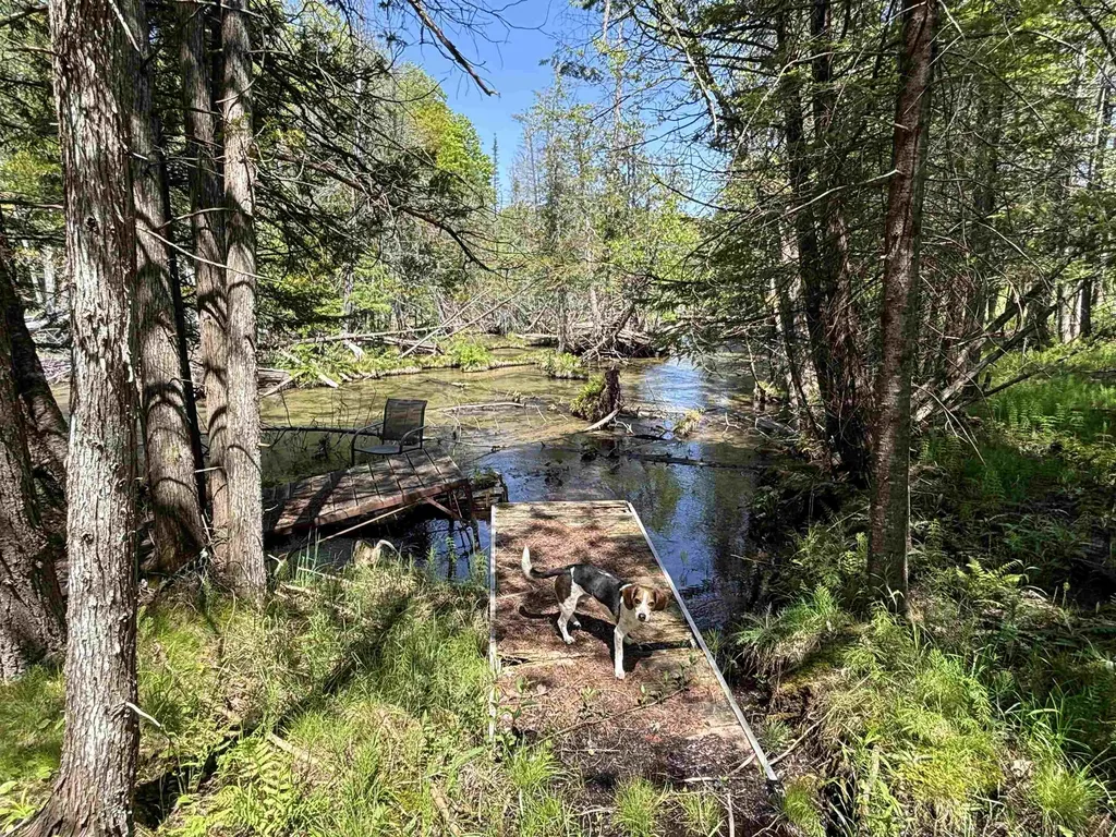 Parcels A & B Schuss Mountain Road Custer Township MI 49659