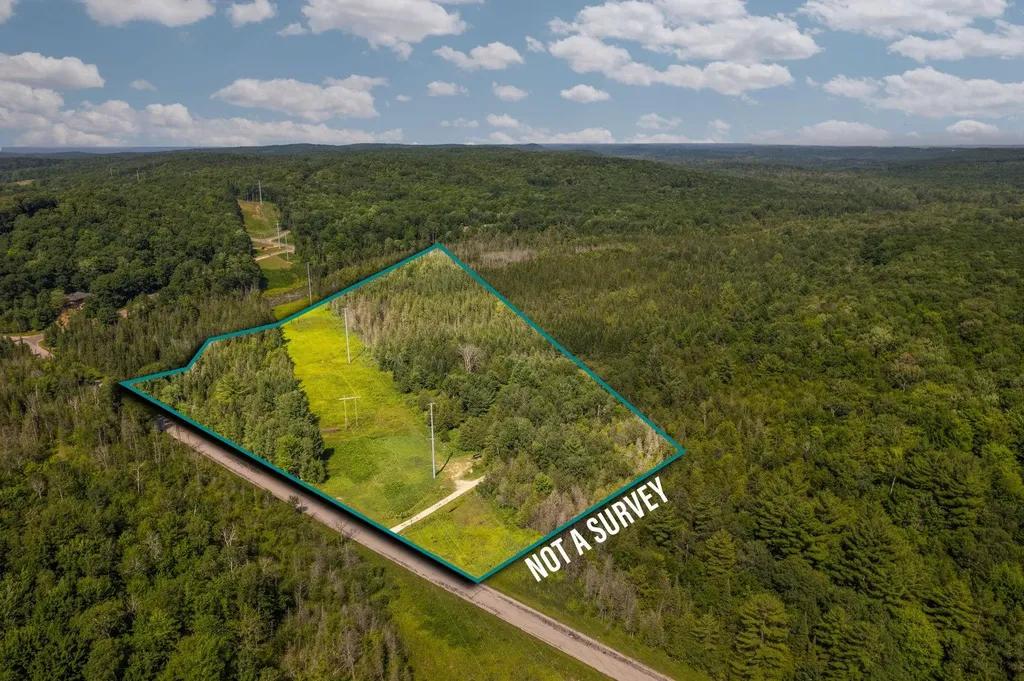Parcels A & B Schuss Mountain Road Custer Township MI 49659