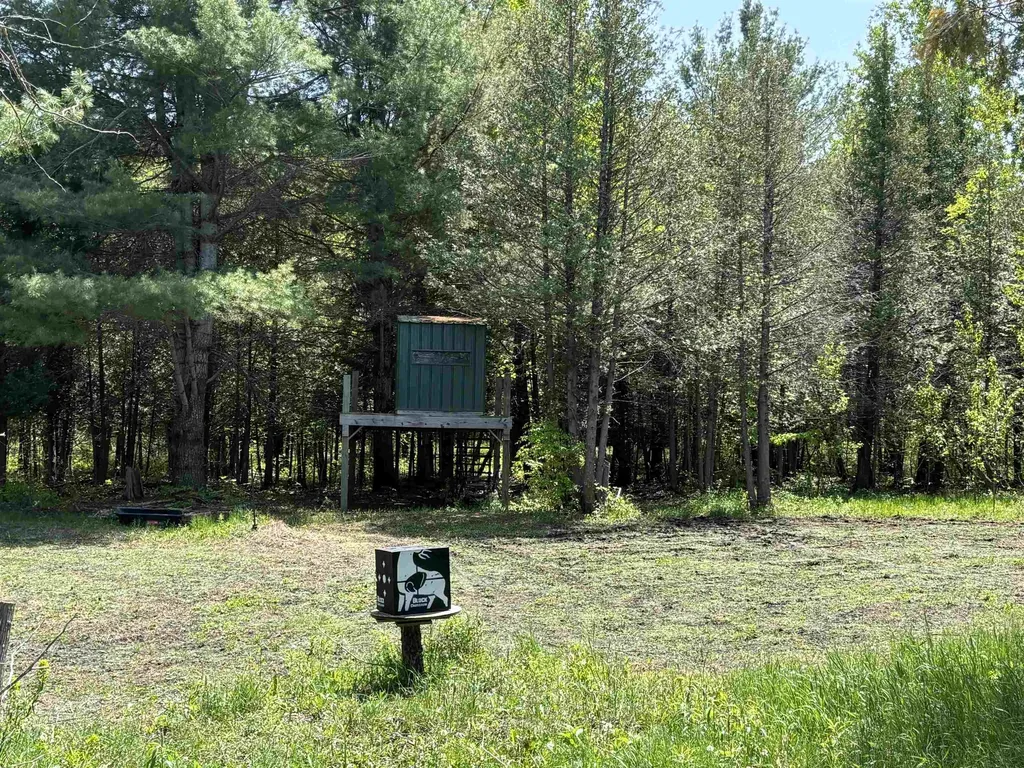 Parcels A & B Schuss Mountain Road Custer Township MI 49659