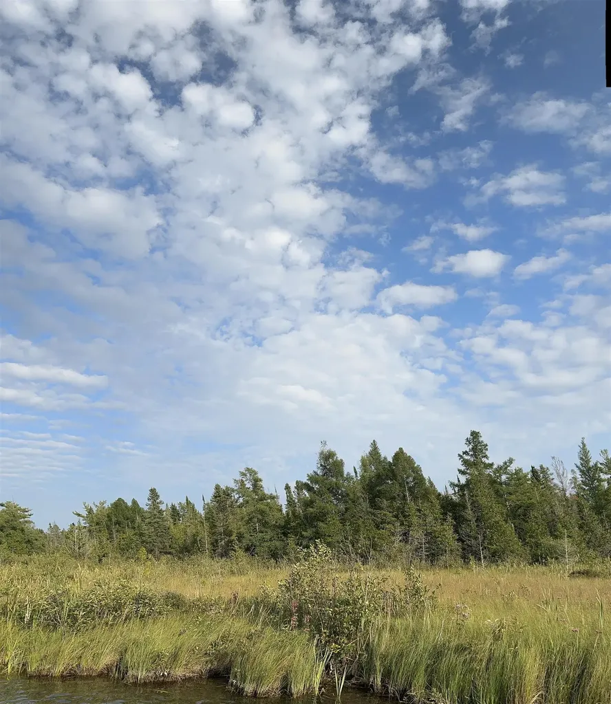 Parcels A & B Schuss Mountain Road Custer Township MI 49659