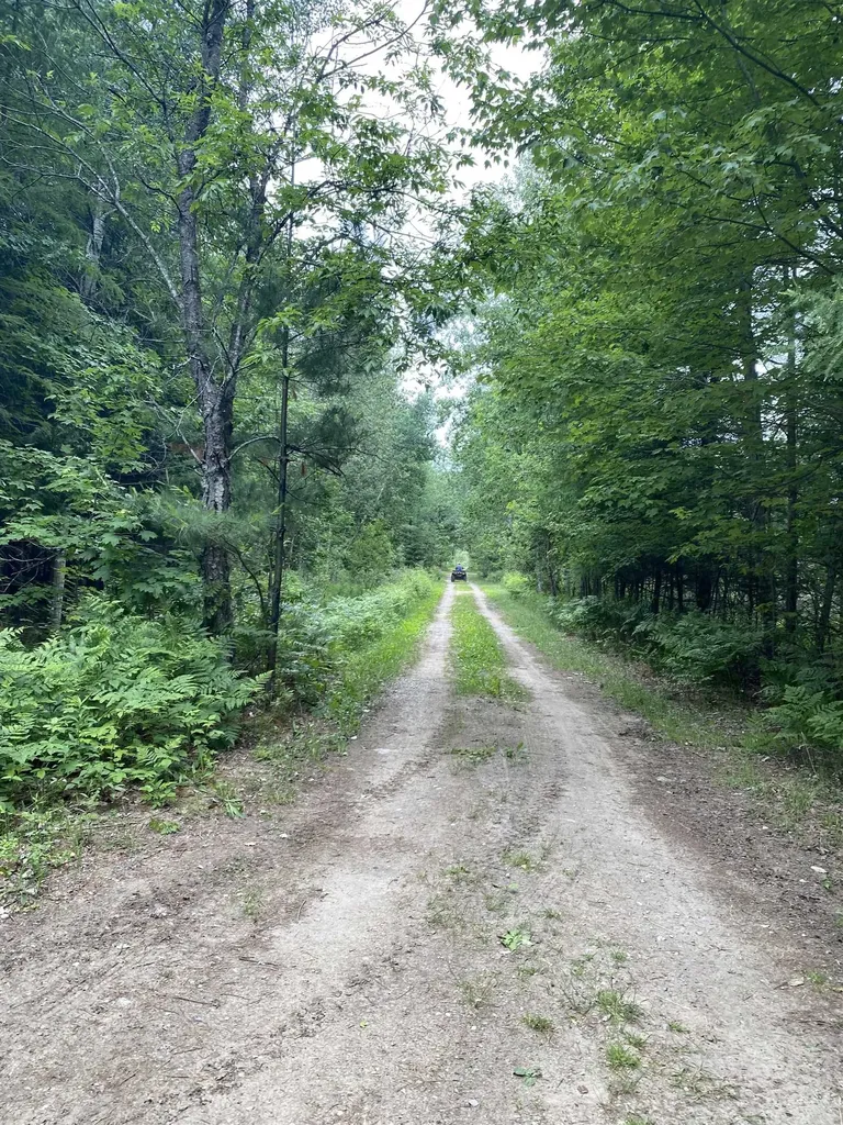 Parcels A & B Schuss Mountain Road Custer Township MI 49659