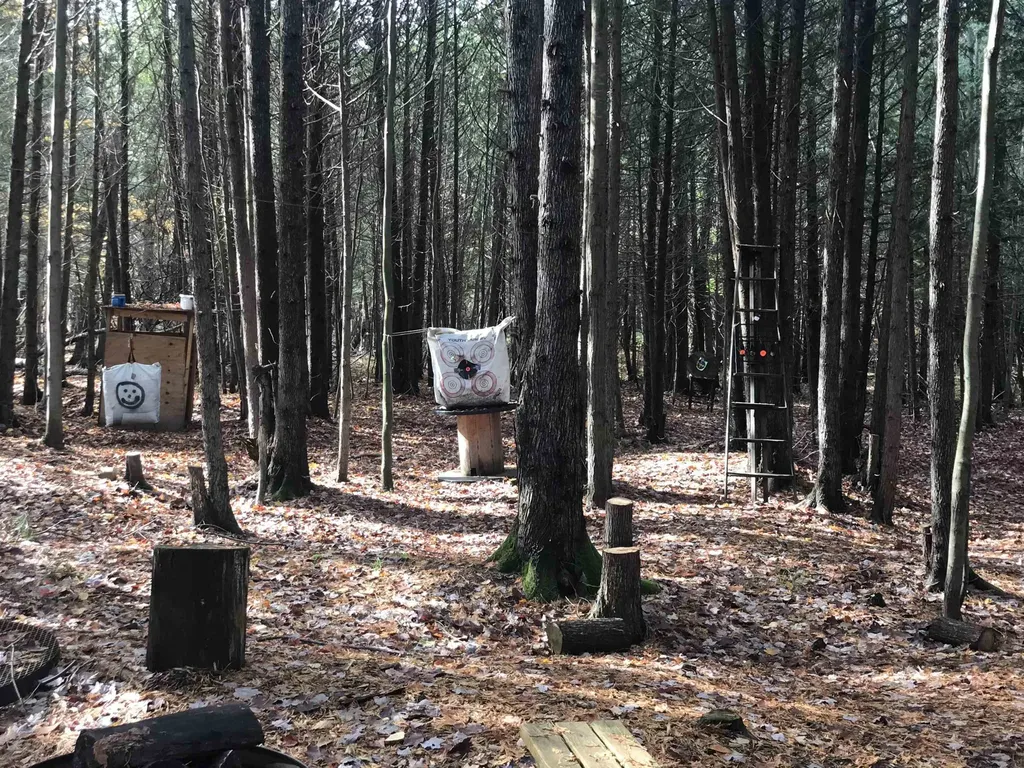 Parcels A & B Schuss Mountain Road Custer Township MI 49659