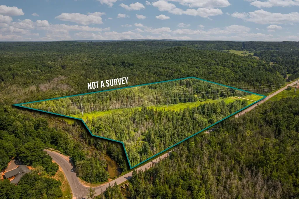 Parcels A & B Schuss Mountain Road Custer Township MI 49659